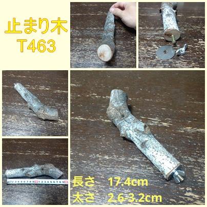 止まり木（枝：TOY-08-015）T4631枚目の画像