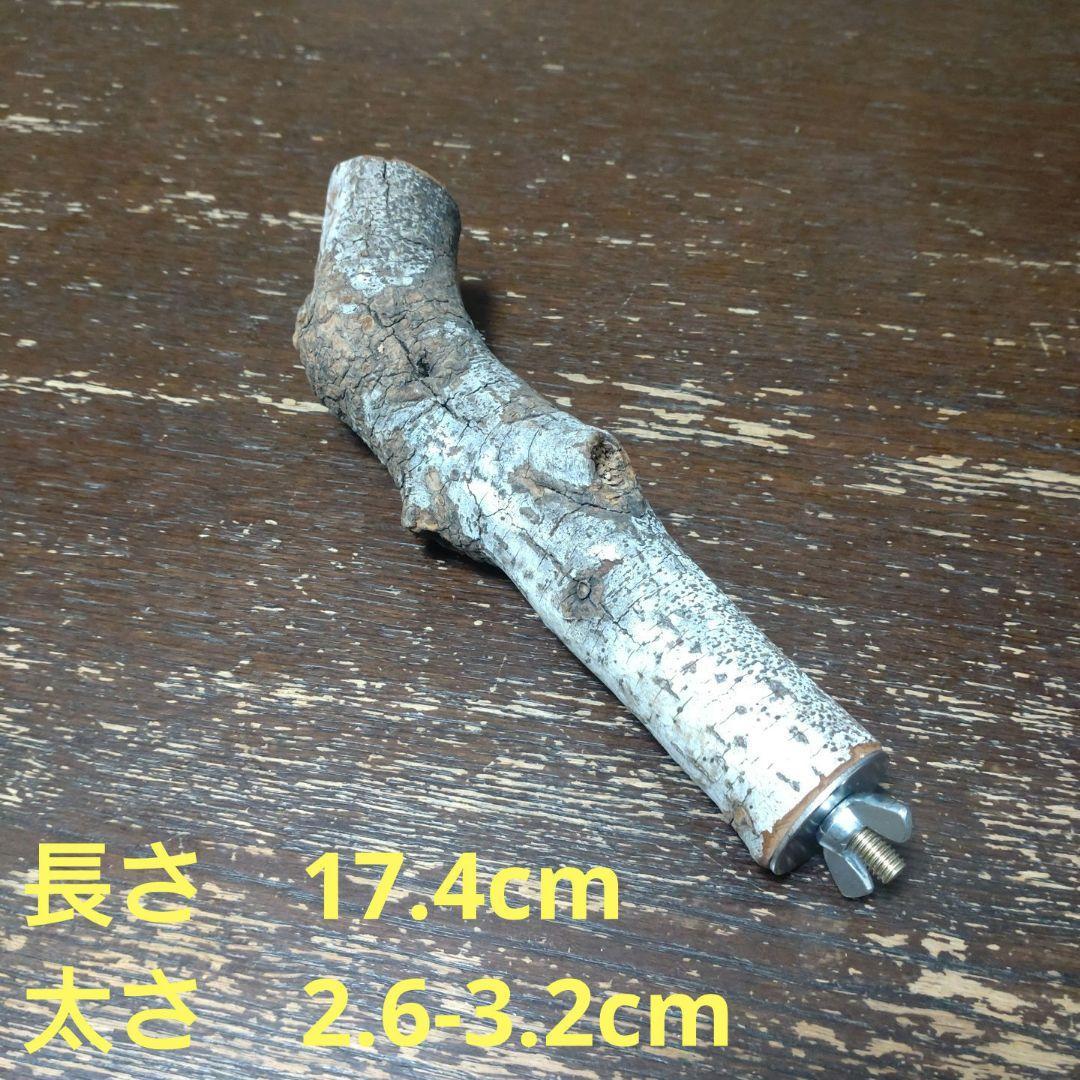 止まり木（枝：TOY-08-015）T463 | 2枚目