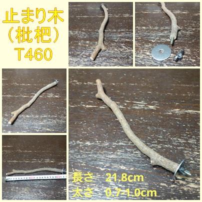 止まり木（枇杷：TOY-08-015）T4601枚目の画像