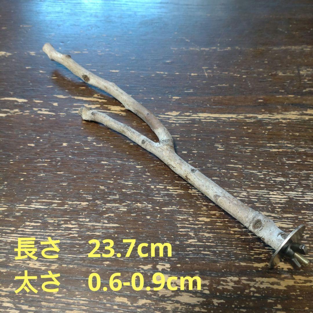 止まり木（枝：TOY-08-015）T465 | 2枚目