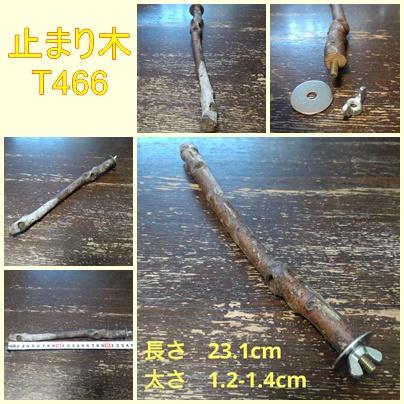 止まり木（枝：TOY-08-015）T4661枚目の画像