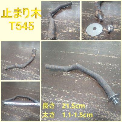 止まり木(枝:TOY-08-015)T5451枚目の画像