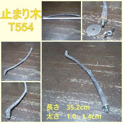 止まり木(枝:TOY-08-015)T5541枚目の画像