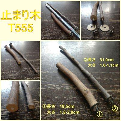 止まり木セット(イチジク:TOY-08-015)T5551枚目の画像